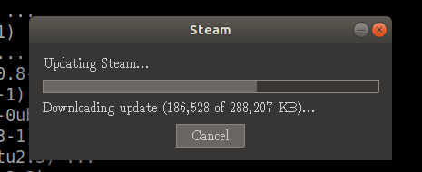 Steam updating after install
