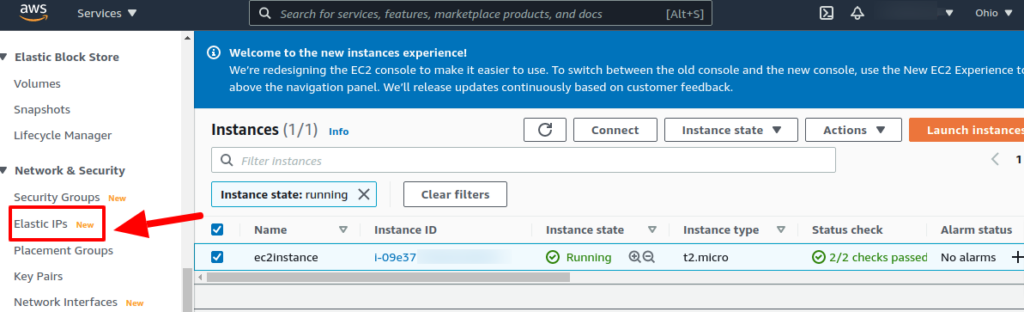 Elastic IP Allocation