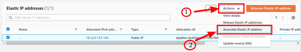 Elastic IP associate with EC2 instance