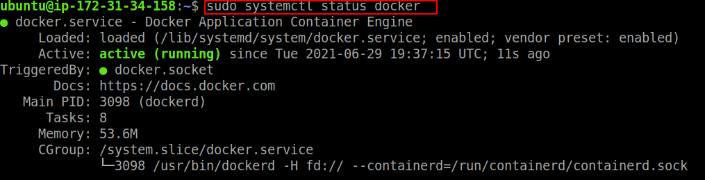 docker status check