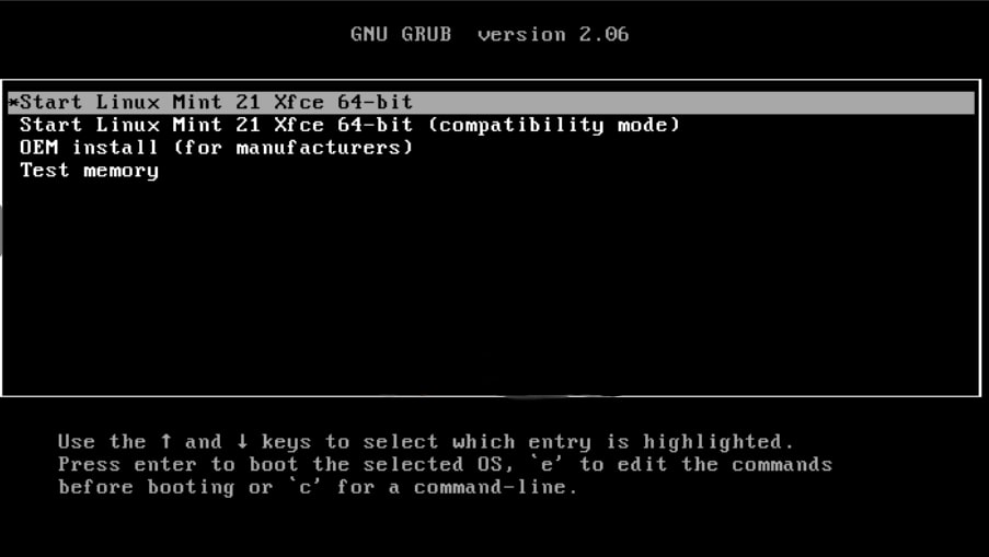 install Linux Mint 21